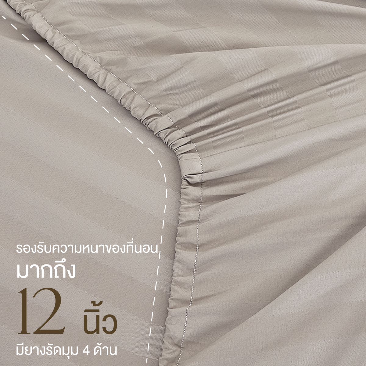 ชุดผ้าปูที่นอน 3.5 ฟุต 3 ชิ้น ibed ลายริ้ว Latte Milk_4