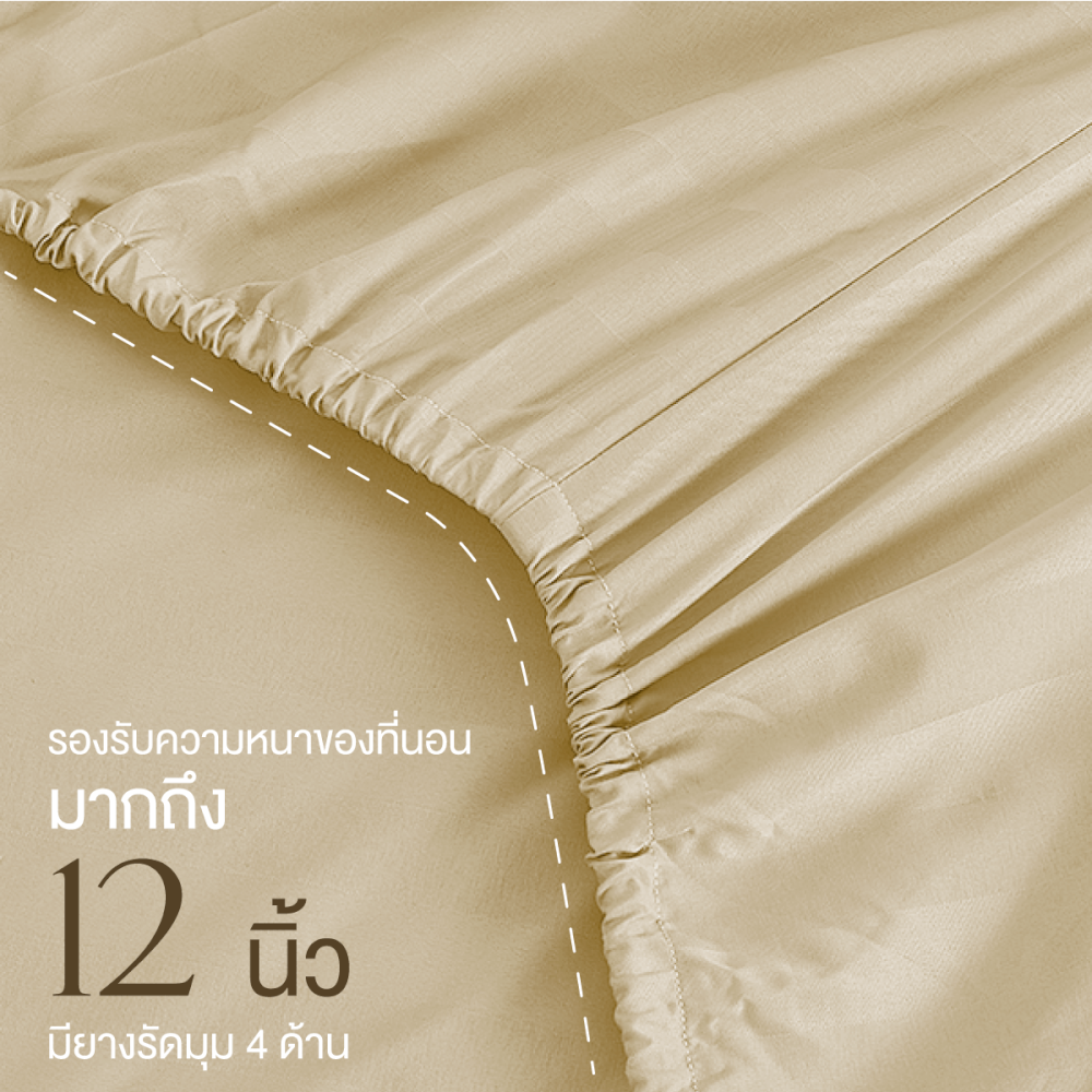 ชุดผ้าปูที่นอน 5 ฟุต 6 ชิ้น ibed ลายริ้ว Butter Cream พร้อมผ้านวมเย็บติด