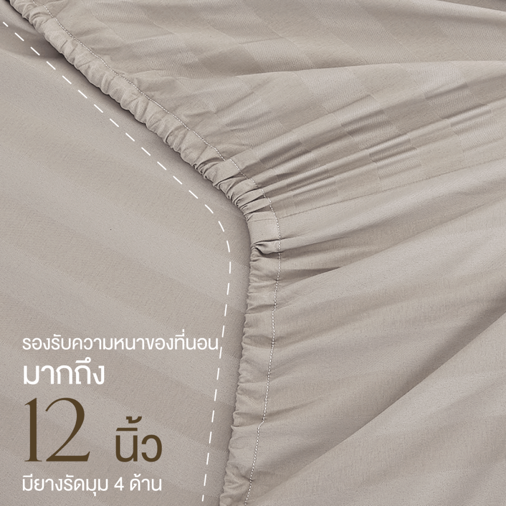 ชุดผ้าปูที่นอน 5 ฟุต 6 ชิ้น ibed ลายริ้ว Latte Milk พร้อมผ้านวมเย็บติด