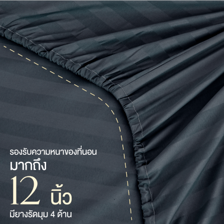 ชุดผ้าปูที่นอน 5 ฟุต 6 ชิ้น ibed ลายริ้ว Imperial Blue พร้อมผ้านวมเย็บติด_4