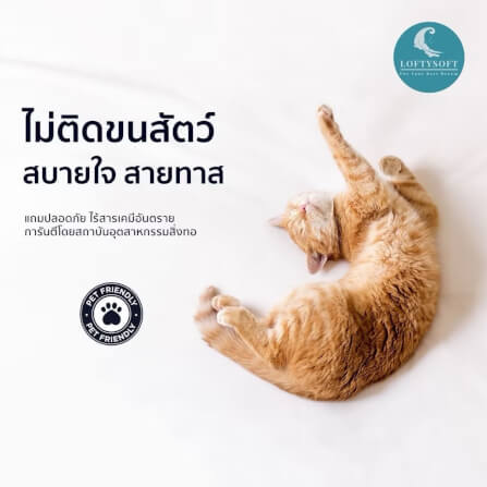 ชุดผ้าปูที่นอน 3.5 ฟุต 3 ชิ้น LOFTYSOFT Elegance Collection - Champagne Gold SET C_7