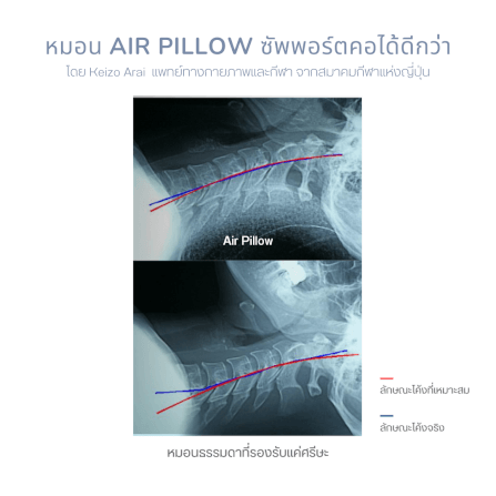 หมอนอากาศ - Mochi Futon_4