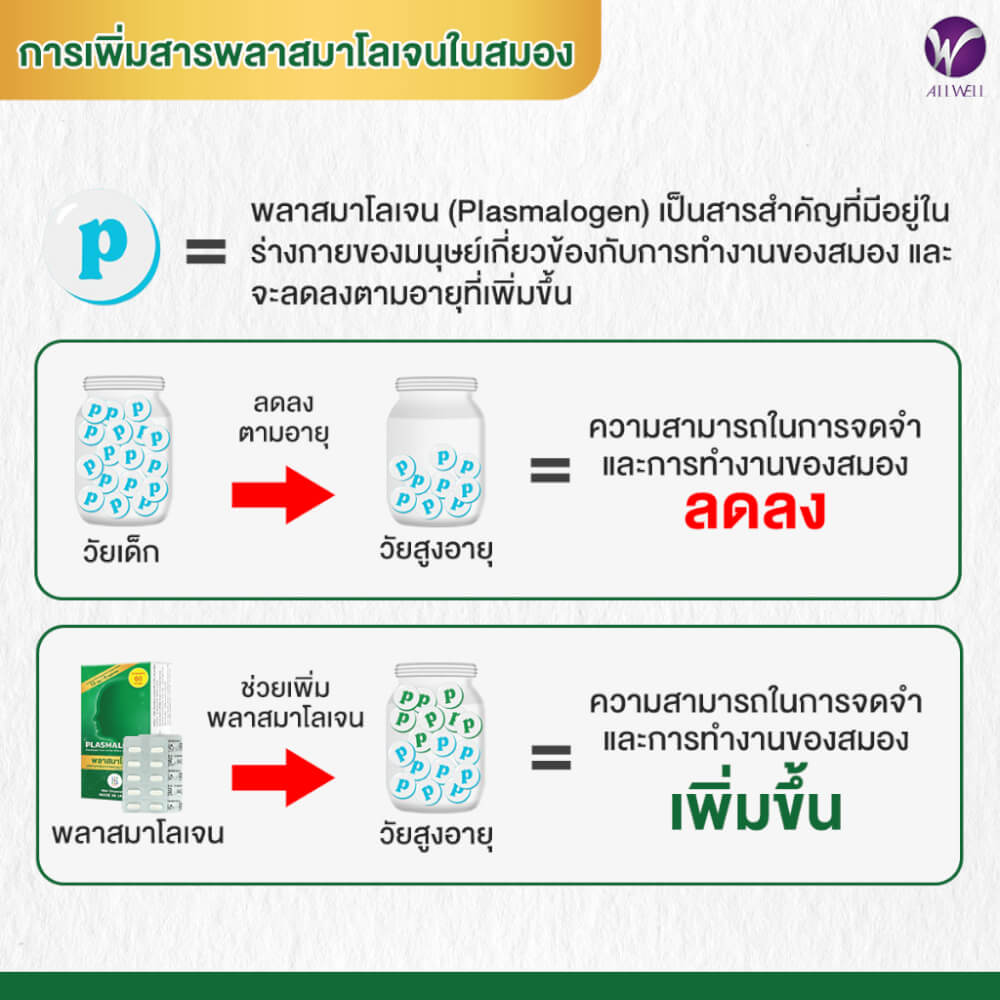 ผลิตภัณฑ์เสริมอาหาร Plasmalogen (พลาสมาโลเจน) จากประเทศญี่ปุ่น บำรุงสมอง เพิ่มความจำ 