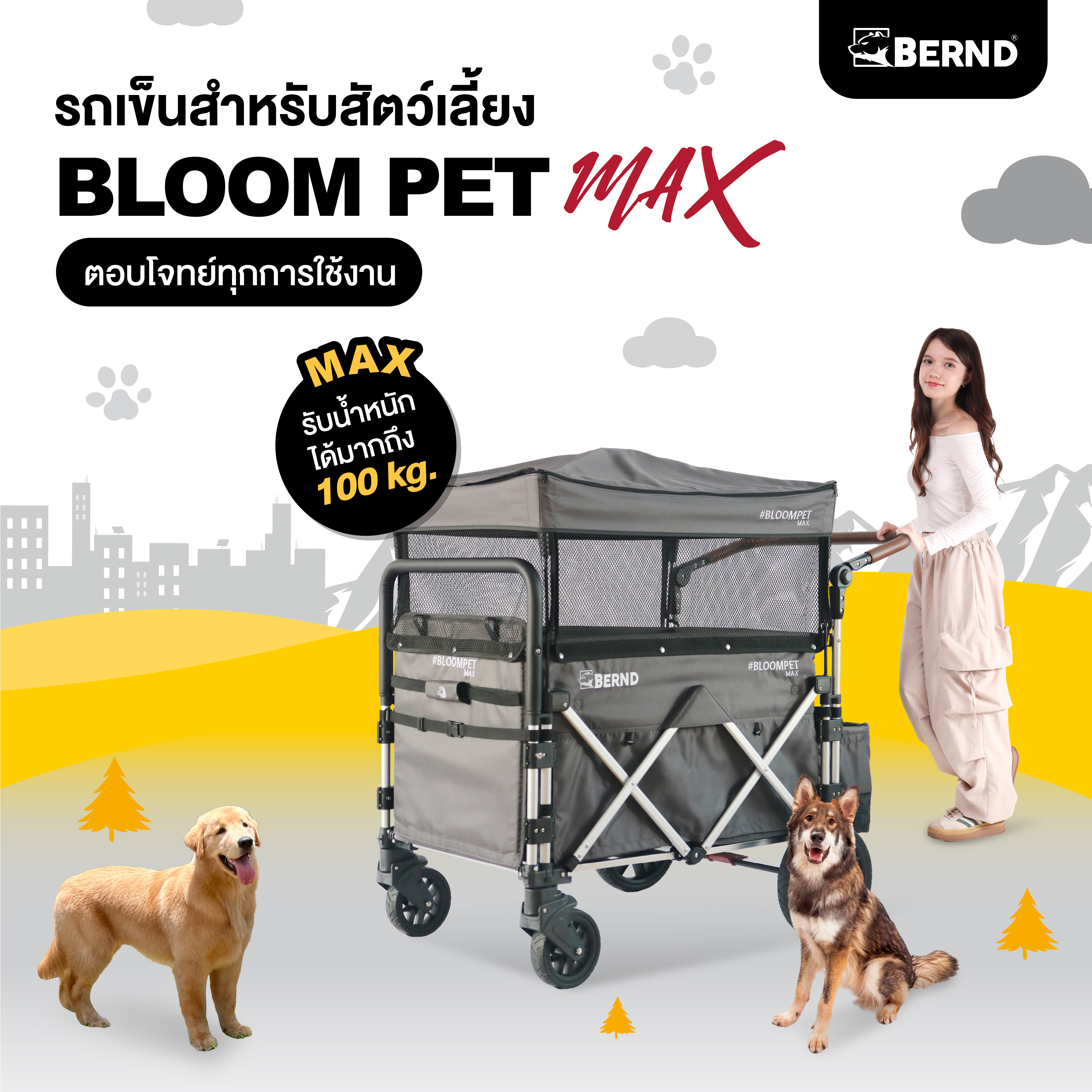 รถเข็นสัตว์เลี้ยง BERND BLOOM PET MAX สีเทา_1