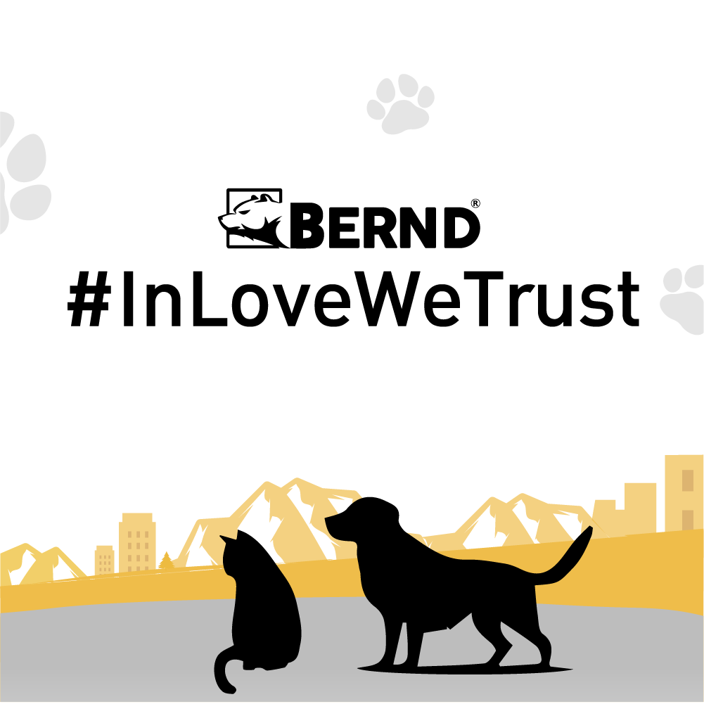 รถเข็นสัตว์เลี้ยง BERND BLOOM PET MINI MK.2 - สีดำ_8