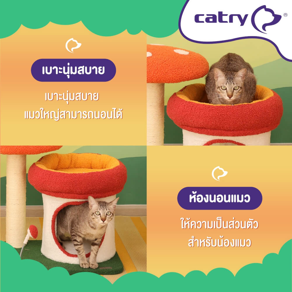 คอนโดแมว Catry รุ่น Enchanted Grove พร้อมเสาลับเล็บรูปทรงเห็ดขนาดเล็ก