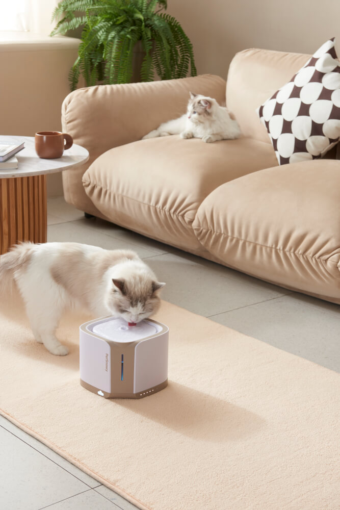 น้ำพุสัตว์เลี้ยงอัตโนมัติ PetSnowy ความจุ 2 ลิตร