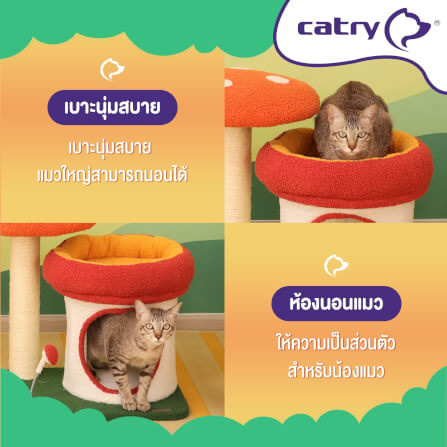 คอนโดแมว Catry รุ่น Twin Mushroom พร้อมเสาลับเล็บรูปทรงเห็ดขนาดเล็ก_3
