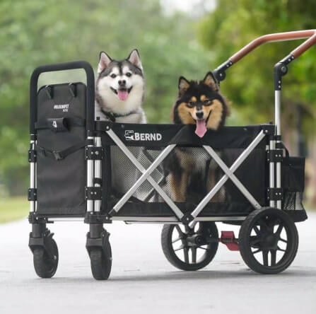 รถเข็นสัตว์เลี้ยง BERND BLOOM PET MINI - สีดำ_4
