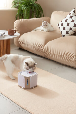 น้ำพุสัตว์เลี้ยงอัตโนมัติ PetSnowy ความจุ 2 ลิตร_6