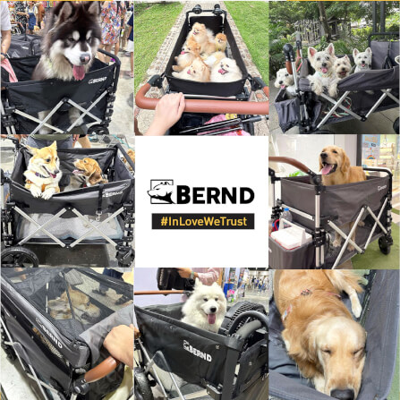 รถเข็นสัตว์เลี้ยง BERND BLOOM PET สีน้ำเงิน (LIMITED)_8