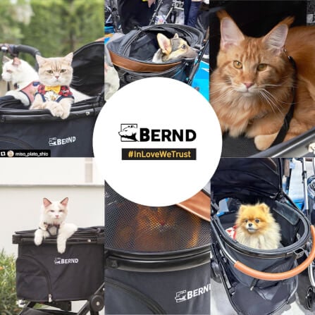 รถเข็นและคาร์ซีทสำหรับสัตว์เลี้ยง - Bernd รุ่น Prime Pet 2 (Isofix)-สีดำ_10