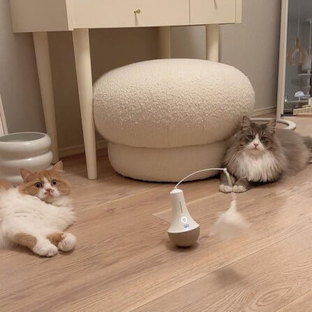 ของเล่นแมวอัตโนมัติ PetSnowy_6