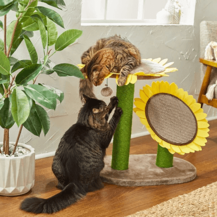 คอนโดแมว Catry รุ่น Sunflower พร้อมเสาลับเล็บ 2 เสาและที่นอนกำมะหยี่_9