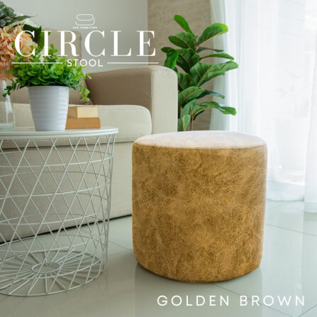 สตูลทรงกลม CCR FURNITURE รุ่น CIRCLE STOOL สีน้ำตาลทอง (Golden Brown) 40x40ซม._1