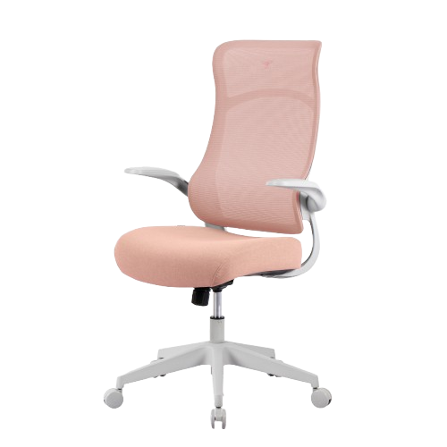 เก้าอี้ทำงาน TTRacing AIRFLEX ผ้าตาข่าย Ergochair - Coral Red_2