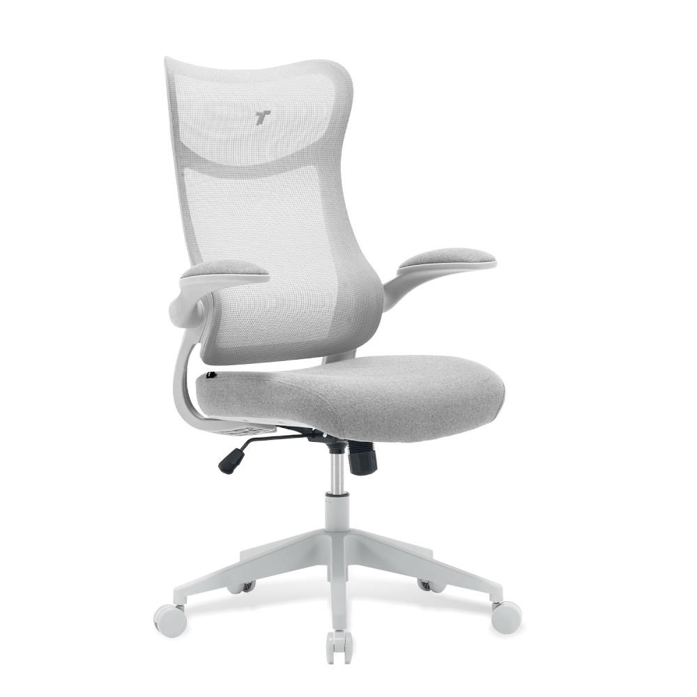 เก้าอี้ทำงาน TTRacing AIRFLEX V2 ผ้าตาข่าย Ergochair - Ashy Grey