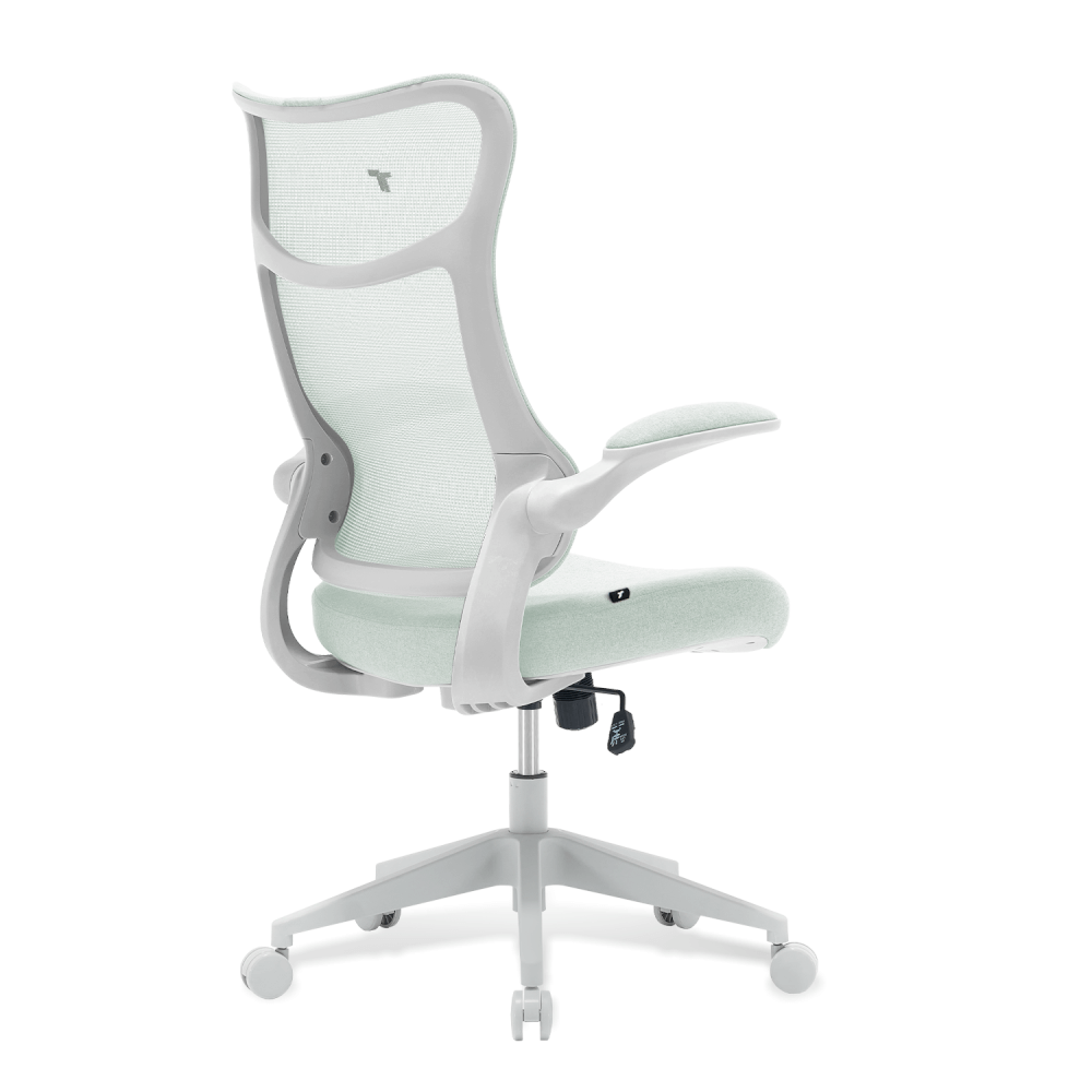 เก้าอี้ทำงาน TTRacing AIRFLEX V2 ผ้าตาข่าย Ergochair - Minty Green_3