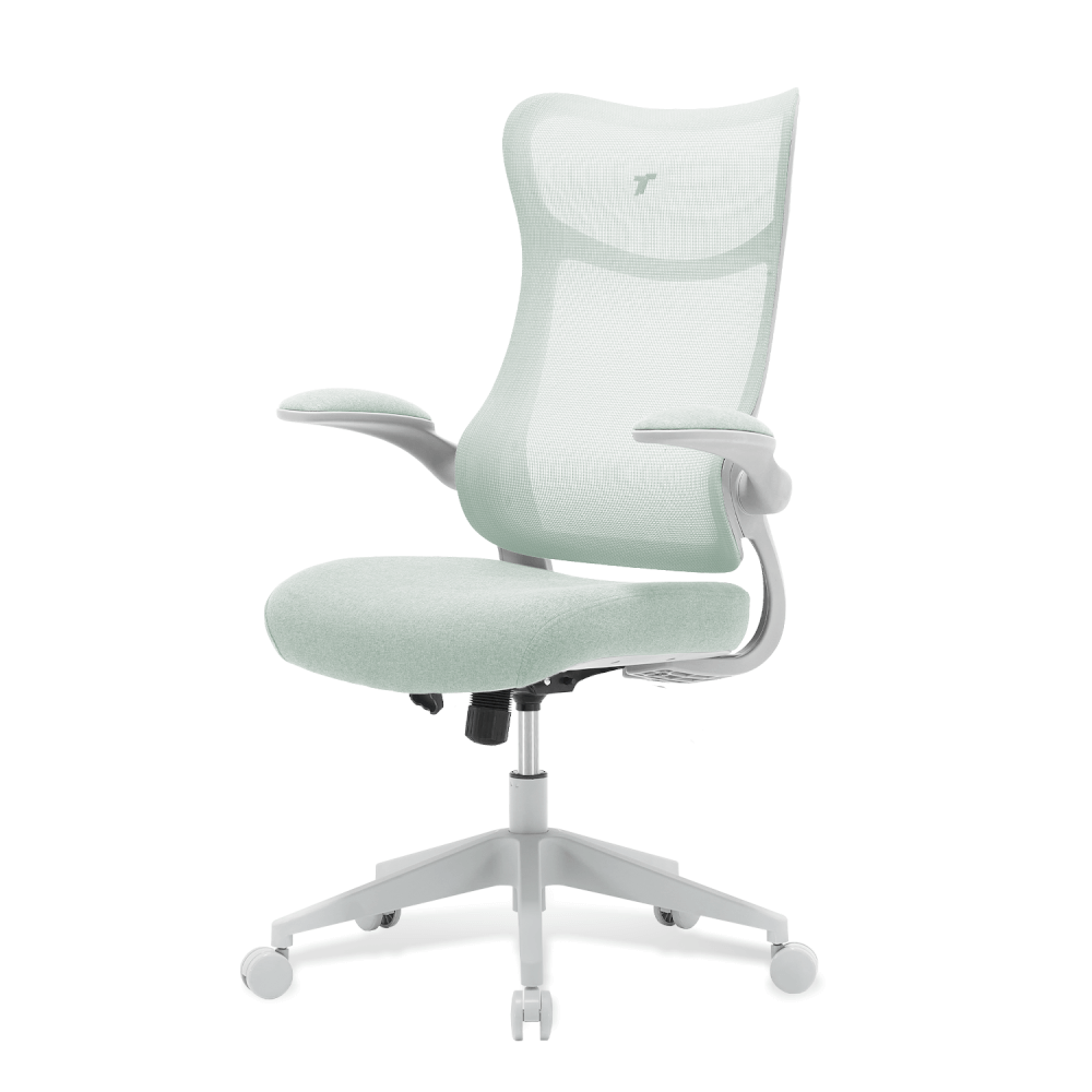 เก้าอี้ทำงาน TTRacing AIRFLEX V2 ผ้าตาข่าย Ergochair - Minty Green_4