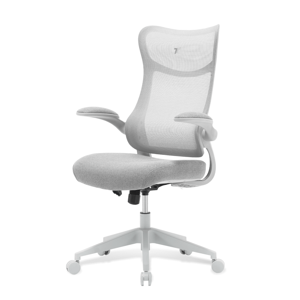 เก้าอี้ทำงาน TTRacing AIRFLEX V2 ผ้าตาข่าย Ergochair - Ashy Grey