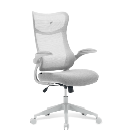 เก้าอี้ทำงาน TTRacing AIRFLEX V2 ผ้าตาข่าย Ergochair - Ashy Grey_0