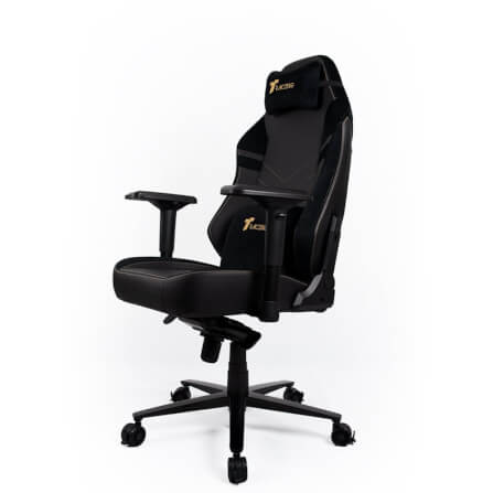 เก้าอี้เกมมิ่ง TTRacing Maxx หนัง PU สี Royal Black_3