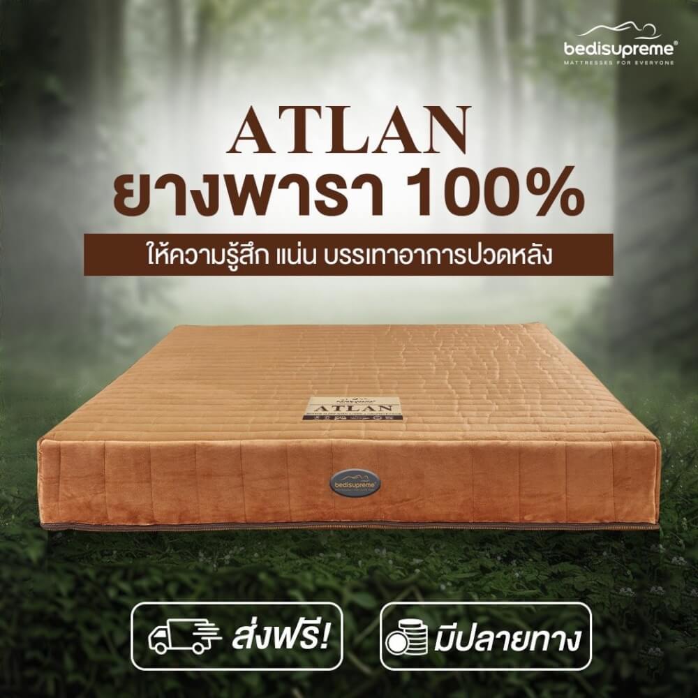 ที่นอน 5 ฟุต BEDISUPREME รุ่น ATLAN หนา 7 นิ้ว