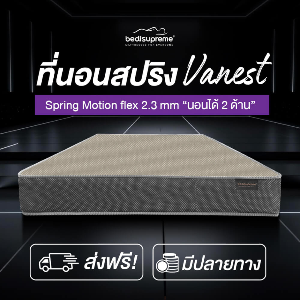 ที่นอน 5 ฟุต BEDISUPREME รุ่น VANEST+ หนา 8 นิ้ว สีน้ำตาล