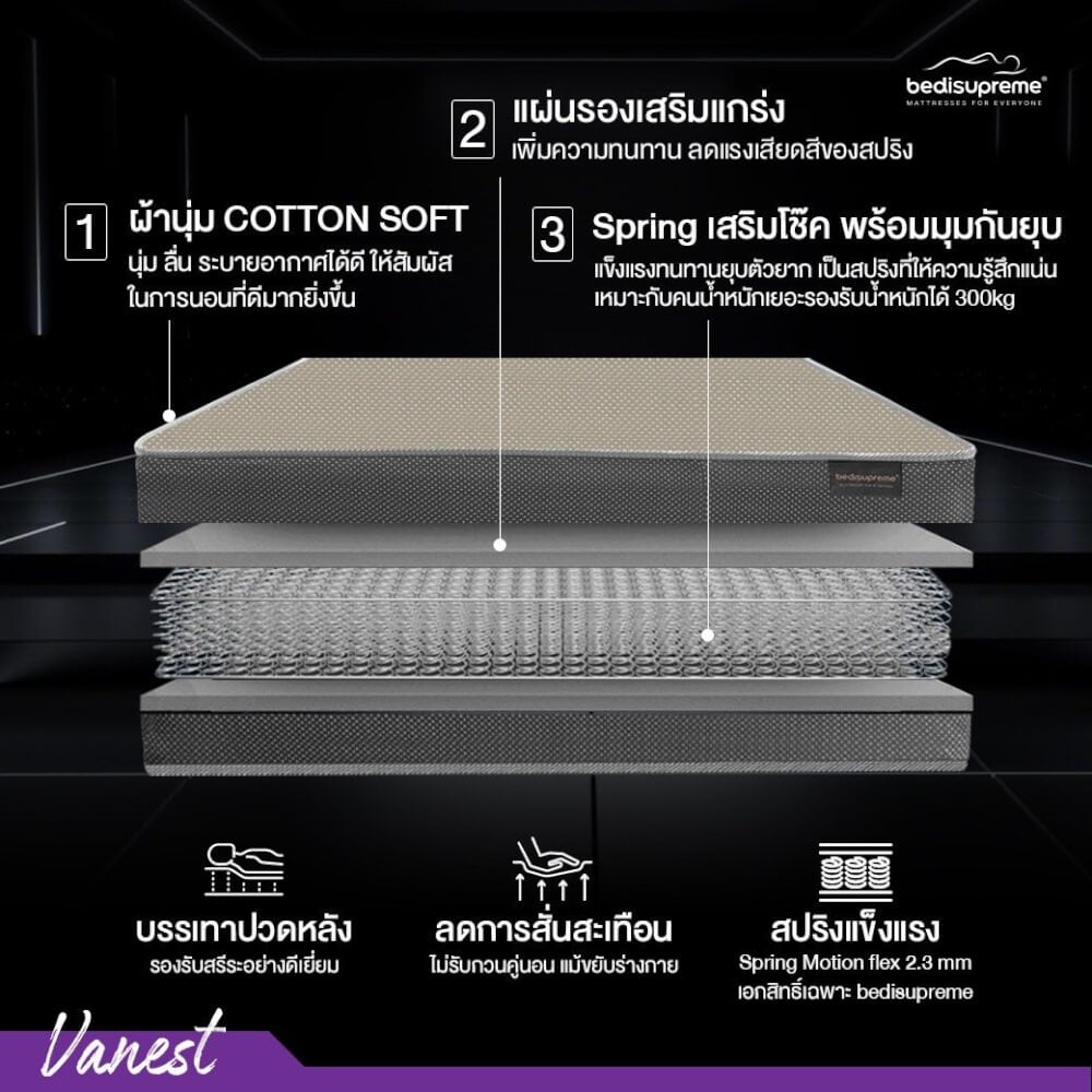 ที่นอน 5 ฟุต BEDISUPREME รุ่น VANEST+ หนา 8 นิ้ว สีน้ำตาล