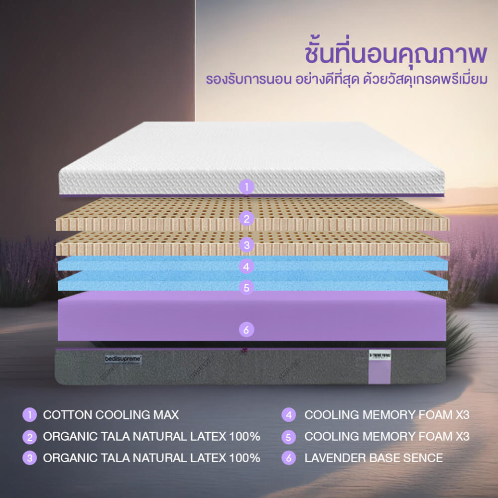 ที่นอน 3.5 ฟุต BEDISUPREME รุ่น XTREME-FORCE หนา 12 นิ้ว