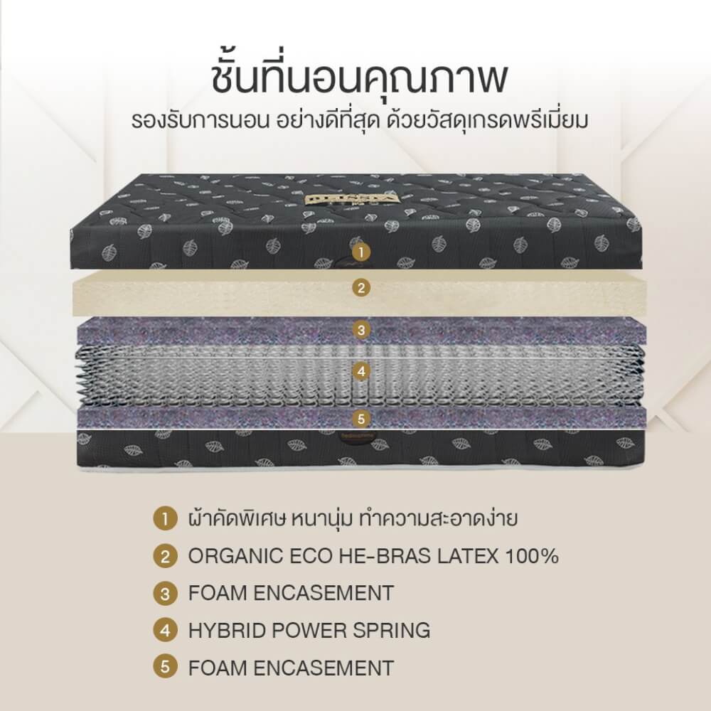 ที่นอน 5 ฟุต BEDISUPREME รุ่น BLISSIA