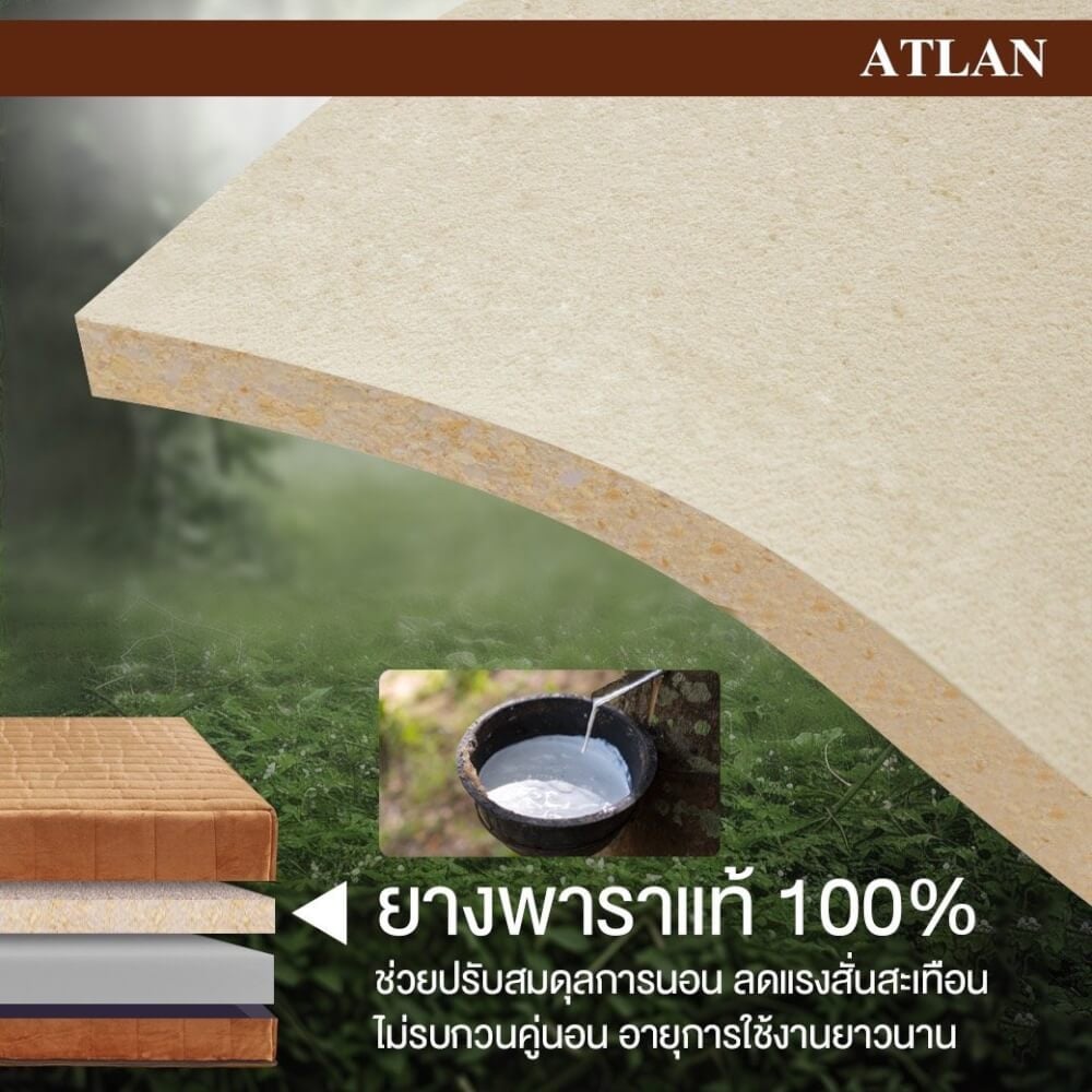 ที่นอน 5 ฟุต BEDISUPREME รุ่น ATLAN หนา 7 นิ้ว