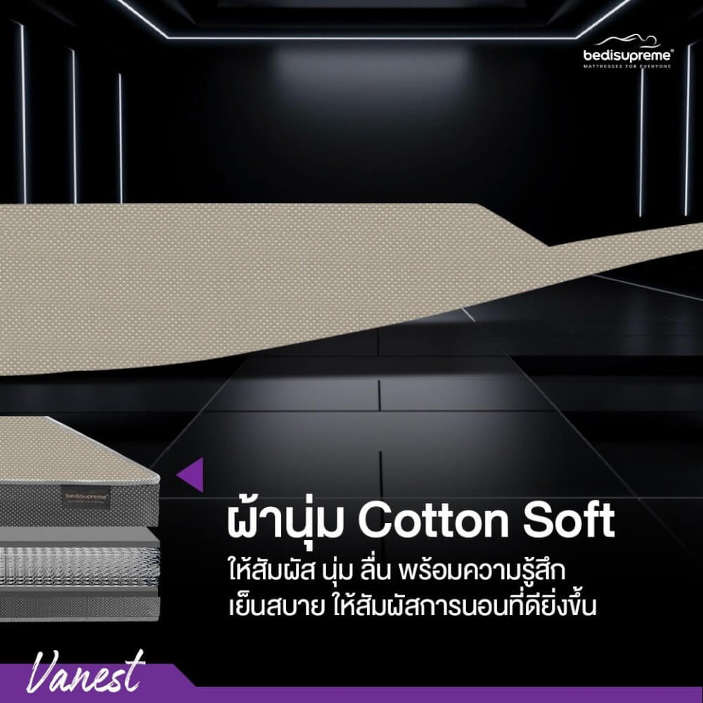 ที่นอน 5 ฟุต BEDISUPREME รุ่น VANEST+ หนา 8 นิ้ว สีน้ำตาล