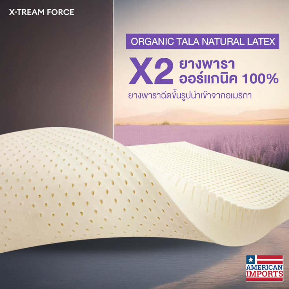 ที่นอน 3.5 ฟุต BEDISUPREME รุ่น XTREME-FORCE หนา 12 นิ้ว