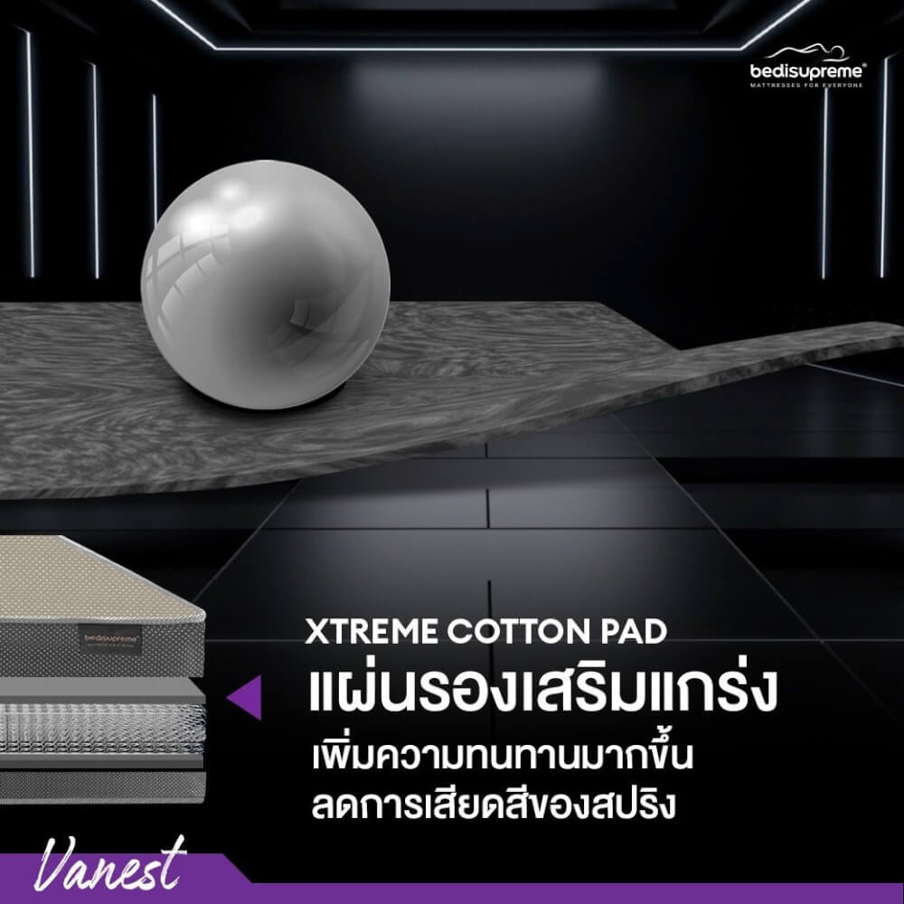 ที่นอน 5 ฟุต BEDISUPREME รุ่น VANEST+ หนา 8 นิ้ว สีน้ำตาล