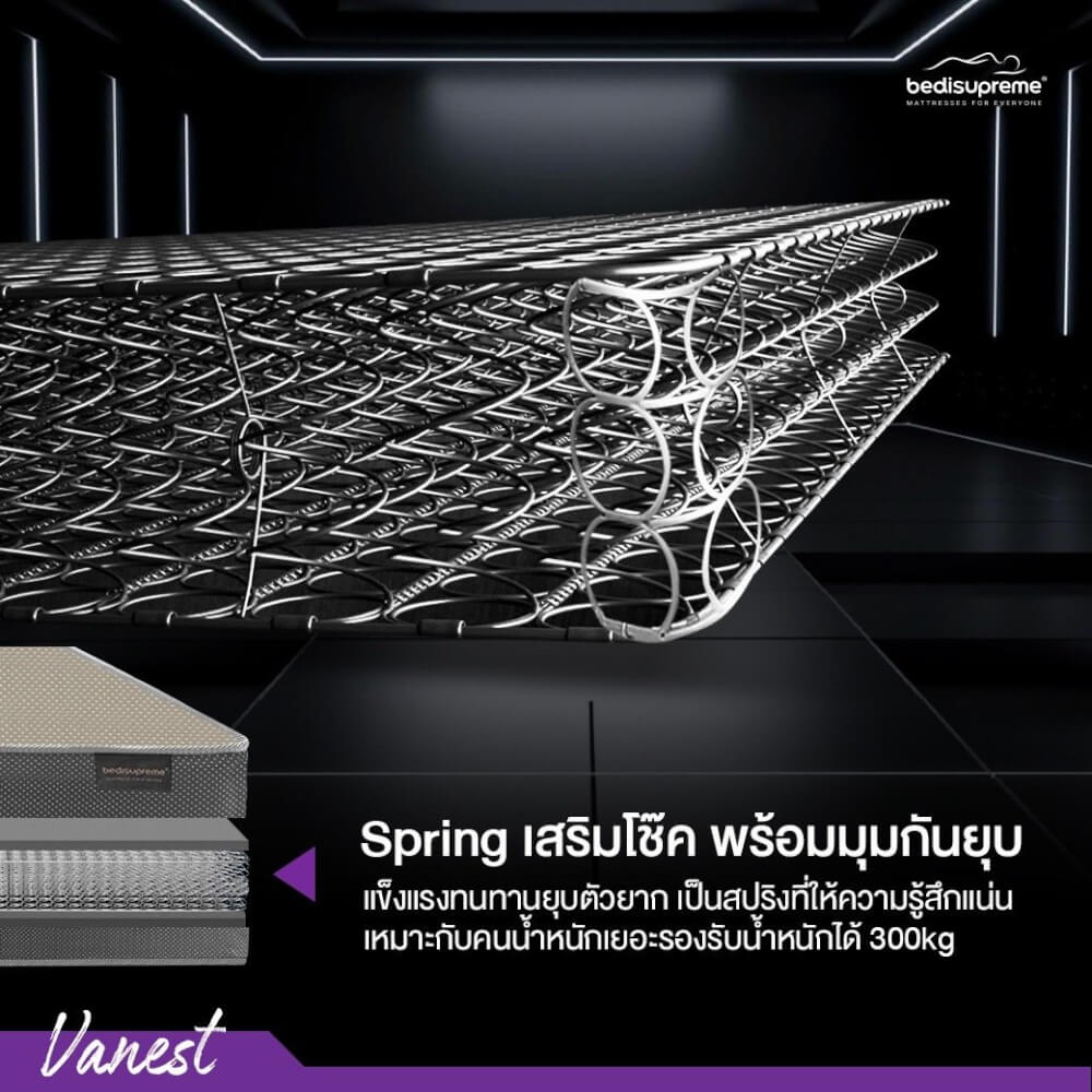 ที่นอน 5 ฟุต BEDISUPREME รุ่น VANEST+ หนา 8 นิ้ว สีน้ำตาล