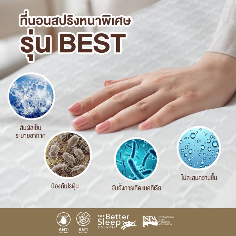 ที่นอน 6 ฟุต BEDISUPREME รุ่น BEST หนา 8.5 นิ้ว สีขาว