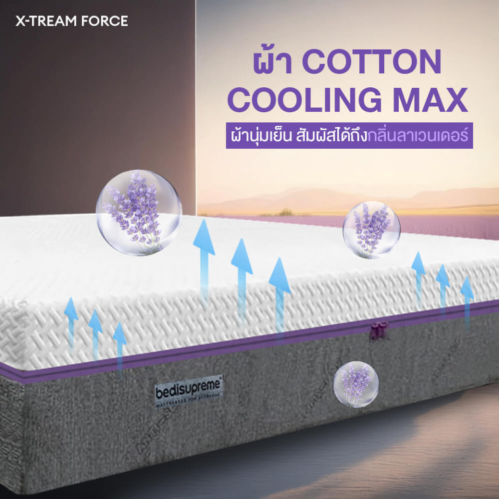 ที่นอน 3.5 ฟุต BEDISUPREME รุ่น XTREME-FORCE หนา 12 นิ้ว