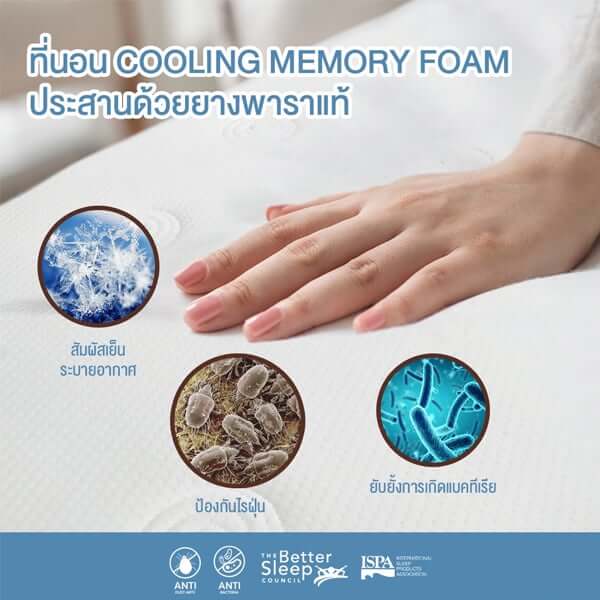 ที่นอนเมมโมรี่โฟมอัลตร้าไฮบริด 3.5 ฟุต BEDISUPREME รุ่น EARTHZONE หนา 10 นิ้ว