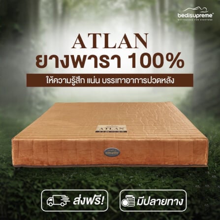 ที่นอน 5 ฟุต BEDISUPREME รุ่น ATLAN หนา 7 นิ้ว_1