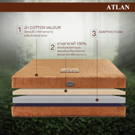 ที่นอน 5 ฟุต BEDISUPREME รุ่น ATLAN หนา 7 นิ้ว_2