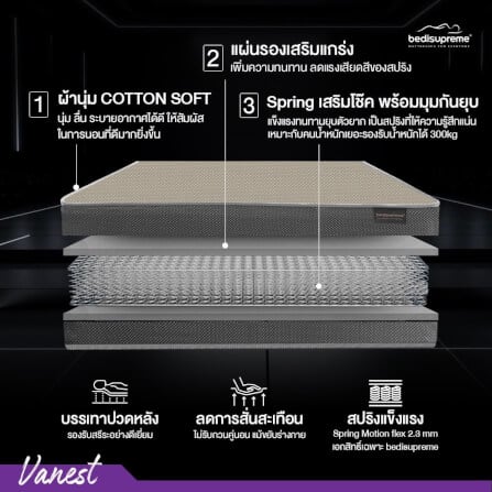 ที่นอน 5 ฟุต BEDISUPREME รุ่น VANEST+ หนา 8 นิ้ว สีน้ำตาล_2