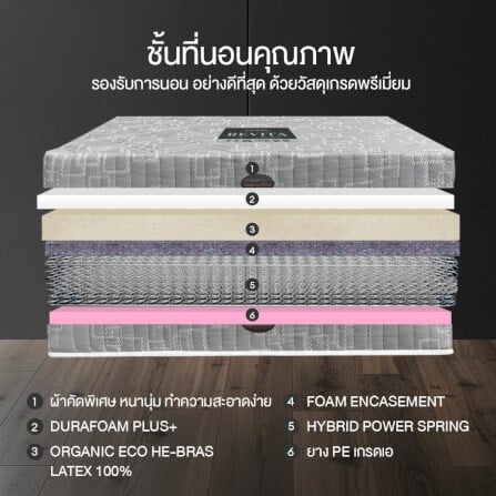 ที่นอน 3.5 ฟุต BEDISUPREME รุ่น REVITA_2