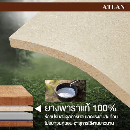 ที่นอน 5 ฟุต BEDISUPREME รุ่น ATLAN หนา 7 นิ้ว_3