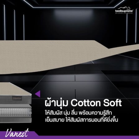ที่นอน 5 ฟุต BEDISUPREME รุ่น VANEST+ หนา 8 นิ้ว สีน้ำตาล_3