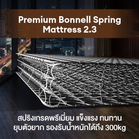ที่นอนสปริง 6 ฟุต BEDISUPREME รุ่น HOTEL DELUXE หุ้มผ้าริ้วเทา_3