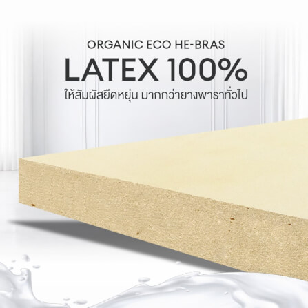ที่นอนยางพารา 7ZONE 3.5 ฟุต BEDISUPREME รุ่น MAXTEX หนา 8 นิ้ว_4