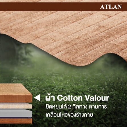 ที่นอน 5 ฟุต BEDISUPREME รุ่น ATLAN หนา 7 นิ้ว_5