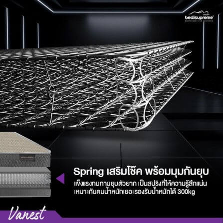 ที่นอน 5 ฟุต BEDISUPREME รุ่น VANEST+ หนา 8 นิ้ว สีน้ำตาล_5