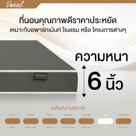 ที่นอนยางPE 6 ฟุต BEDIUPREME หุ้มหนังPVC สีเทา รุ่น VANEST หนา 6 นิ้ว_6